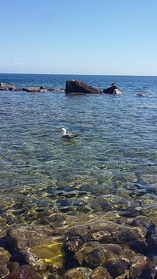 Capraia Per Te Exteriör bild